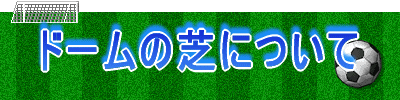 ドームの芝について